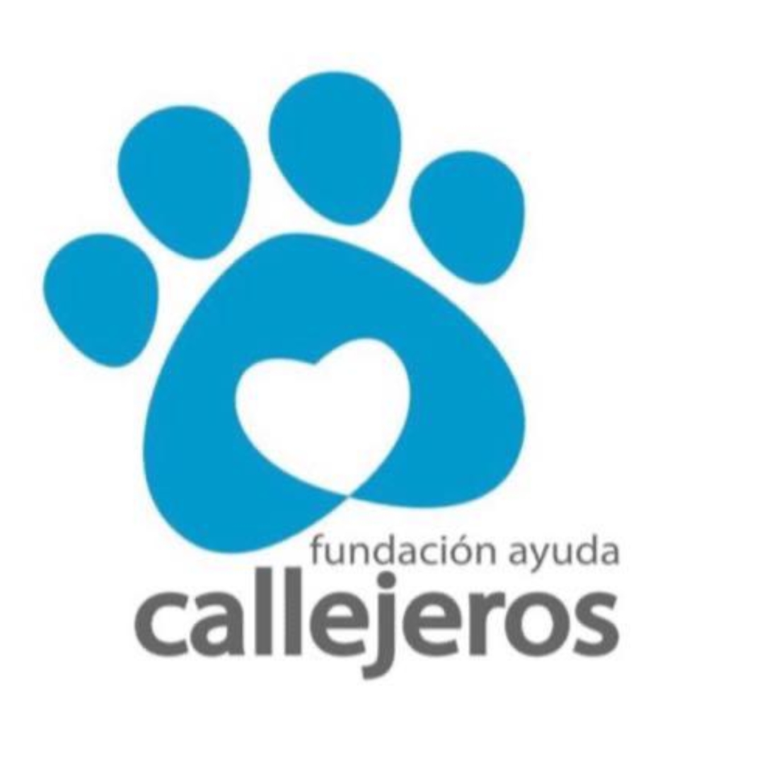 Callejeros